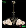 Modern and Popular Eropean-Style Chandelier Lighting (D-8122/6)